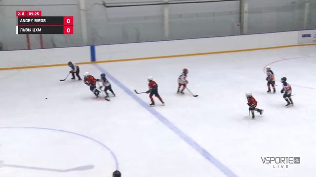 Angry Birds - ЦХМ-13 | 2012 | 16.05.21 смотреть онлайн