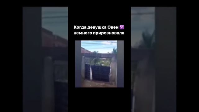 Девушка-Овен приревновала #джйотиш #знаки_зодиака смотреть онлайн
