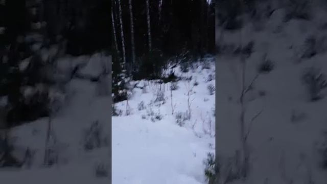 15 декабря 2019 г..mp4