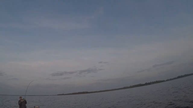 Ловля крупного судака на троллинг. 14.09.2019 смотреть онлайн