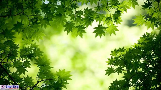 Расслабляющая музыка-Расслабляющая Медитативная музыка-Музыка глубокого сна, Медитация, Спа, Учеба смотреть онлайн