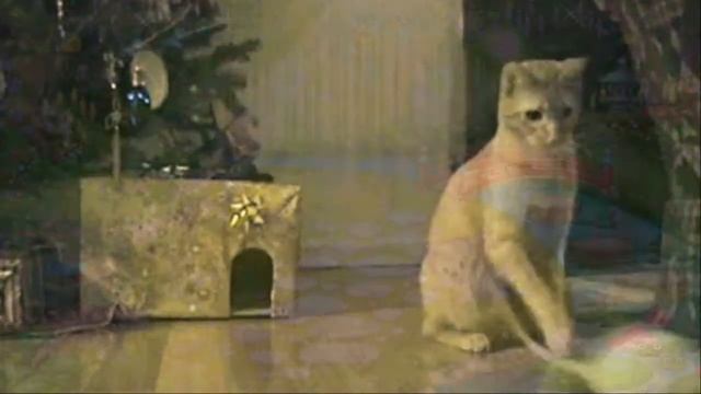 Кошка с мышкой подружились смотреть онлайн