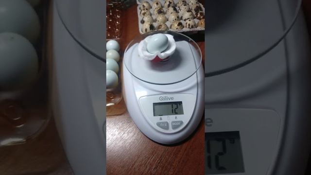 Дом "ЦЫПЫ" селадон (целадон) смотреть онлайн