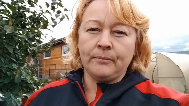 Я против садового вара!!! Обрезаем яблоньки// Веточный корм для коз смотреть онлайн