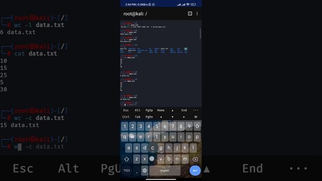 WC tool in kali Nethunter смотреть онлайн