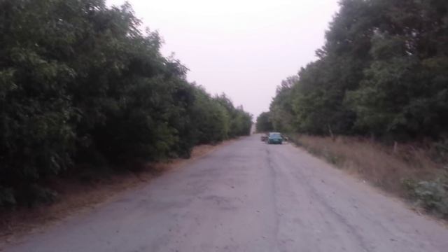 альфар валит смотреть онлайн