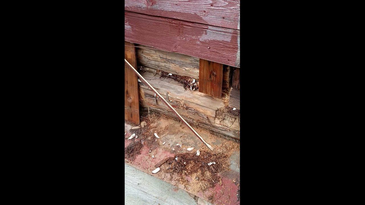 Незваные гости... смотреть онлайн