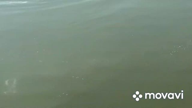 В яхт-клубе "Сич" на Победе-6. Эклоги бьют тревогу! Какая коса/ С корабля на бал/ Украинизация смотреть онлайн