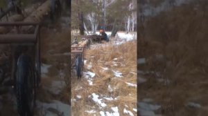 Самодельная телега для перевозки брёвен,супер идея