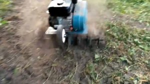 Культиватор Hyundai T 850 работа в саду