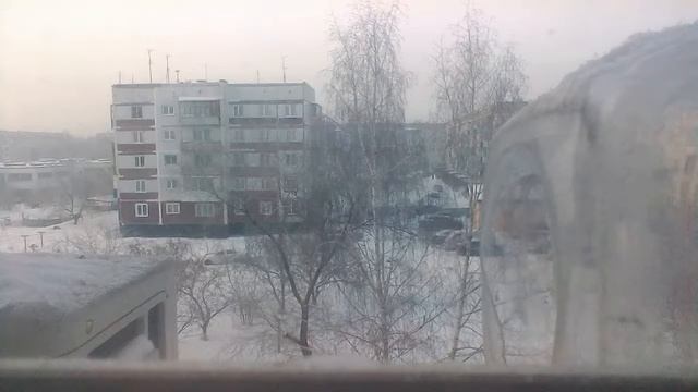 жизнь синиц .(потомство) восьмая серия смотреть онлайн