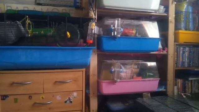 Request some videos please (closed) смотреть онлайн