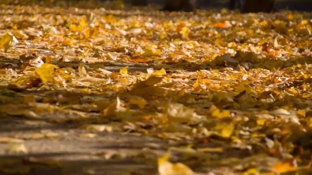 Вячеслав Седякин Земной мир смотреть онлайн