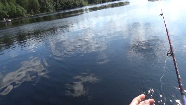 РЫБАЛКА НА КРАСНУЮ РЫБУ / ЛОВЛЯ ФОРЕЛИ НА СПИННИНГ FISHING FOR RED FISH / TROUT FISHING ON SPINNING смотреть онлайн