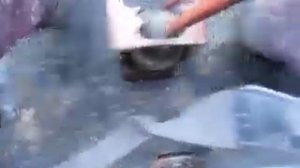 Продажа Трактора Т 25