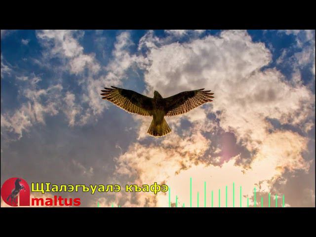 ЩIалэгъуалэ къафэ [Amaltus] смотреть онлайн