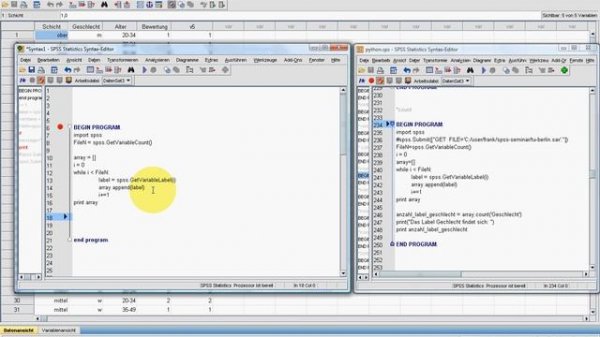 SPSS Video-Seminar #  Teil 69  Python 5