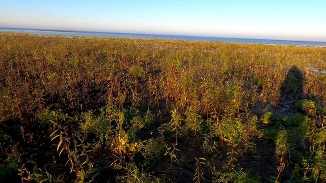 Краснодарское водохранилище обмелело. Где вода? The Krasnodar reservoir became shallow. смотреть онлайн