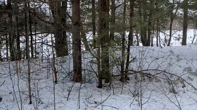 Детский снегоход Рысь с длинной гусянкой. Первый выезд. смотреть онлайн
