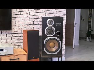 Diatone DS-503 & Hegel H200 - smooth criminal