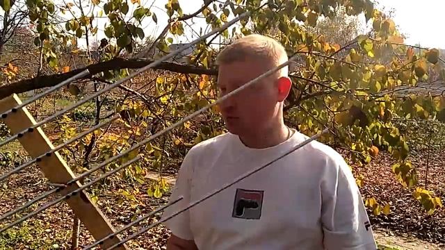 Насколька важна антенна для ФМ радио смотреть онлайн