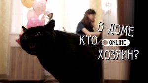 УДАЛЕНИЕ КОГТЕЙ У КОТА ИСКАЛЕЧИЛО ЕМУ ПСИХИКУ!