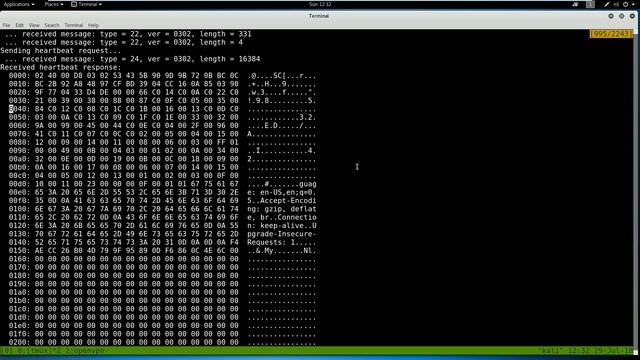 Hack the box CTF Walkthrough - Valentine смотреть онлайн
