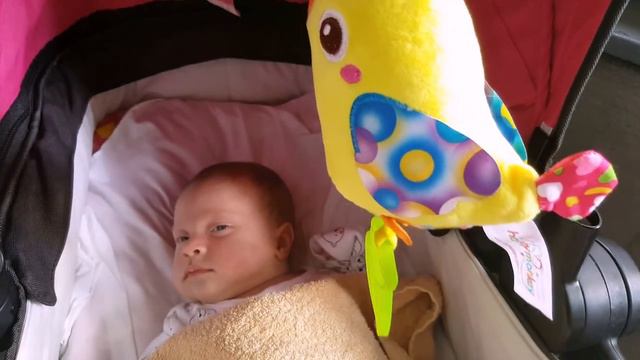 Newborn 1 month/Walk with my baby/Прогулка с малышом на свежем вождухе/Прогулянка з немовлям смотреть онлайн