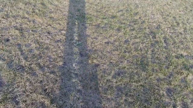 Самый простой рецепт шашлыка. смотреть онлайн