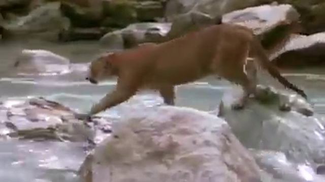 Все хорошо закончилось. смотреть онлайн