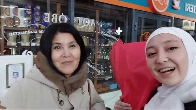 Арайлы Ақтөбеге сапар #ақтөбе #ақтөбеоблысы #эссе #қазақстанмұғалімдері #қазақстан#қосымшабілімбер смотреть онлайн