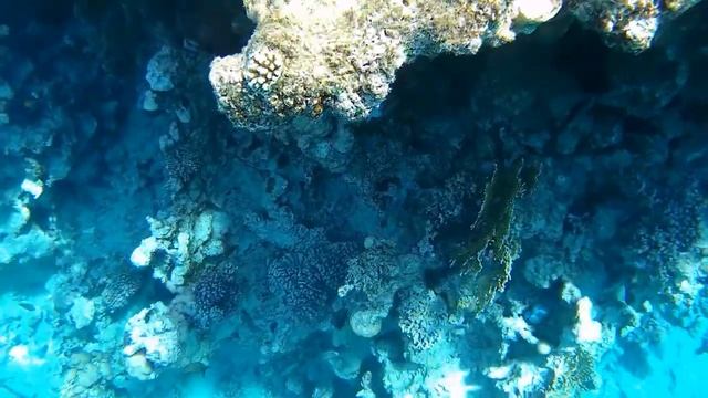 Hadaba-пляжи и подводный мир смотреть онлайн