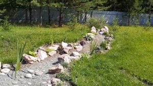 Маленький сухой ручей своими руками. Как украсить приусадебный участок красиво и недорого.