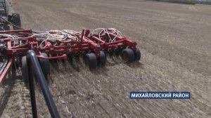Фермеры в Алтайском крае приостанавливают посевные из-за дождей