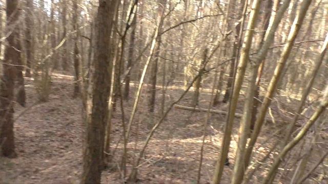 Лес 30 (Перевесье). Немецкий ДОТ или НП (322). Разрушен смотреть онлайн