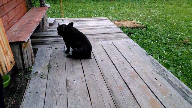 Чешется смотреть онлайн