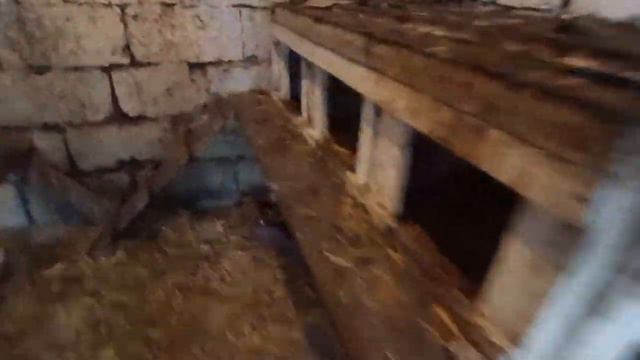 Котята впервые видят снег😻 Куры в шоке😏🐔 Постряпушки к чаю😋Живем на Кубани🧡 смотреть онлайн