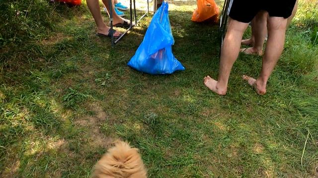 Короткое видео Корпоратив барбершопа на SUP река Нерская 15082023 смотреть онлайн