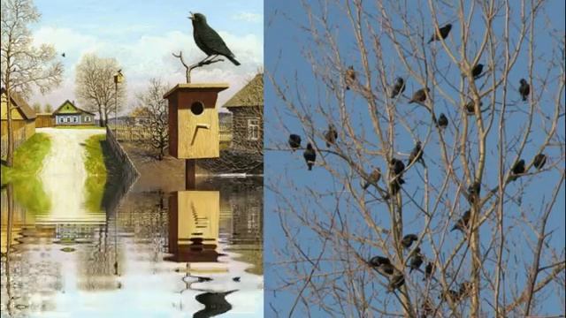 Весенний пересвист скворцов смотреть онлайн