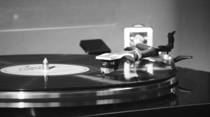 Мария Косева и Никола Томов "Blue Canary"