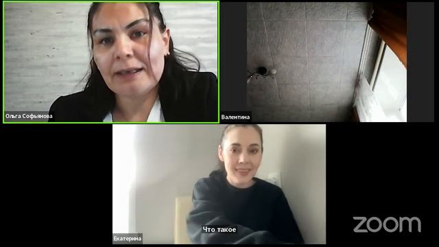 Zoom Meeting Ольга Софьянова