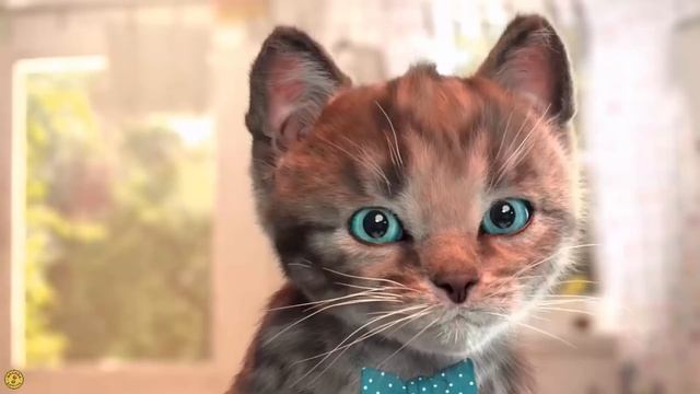 Fun Pet Care Game - Little Kitten Adventures - Play Costume Dress-Up Party Mini Games For Children смотреть онлайн