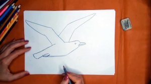 Как нарисовать чайку карандашом. Онлайн-школа рисования "Малевашки"