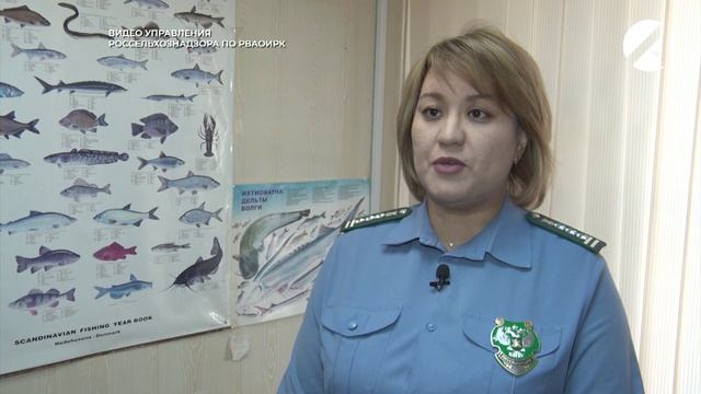 Россельхознадзор проверяет рыбоперерабатывающие предприятия региона смотреть онлайн