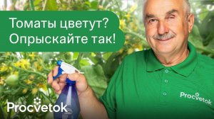 ПОМИДОРОВ ЗАВЯЖЕТСЯ В 10 РАЗ БОЛЬШЕ, если опрыскать их этим во время цветения!