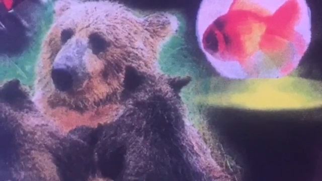 медитация « Зеркало Мачехи» смотреть онлайн