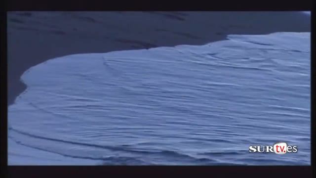 Poema de Manuel Alcántara: el mar no puede mori смотреть онлайн