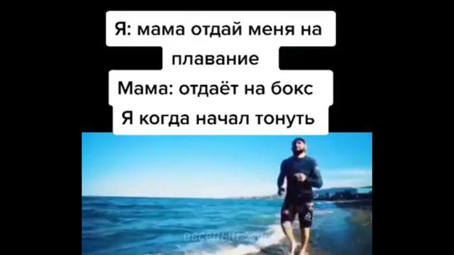 тик ток взял стул | подборка мемов смотреть онлайн