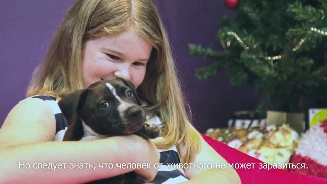Мифы о ВИЧ. Способы заражения смотреть онлайн