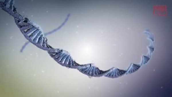 Генетический код главное сокровище нации!!!